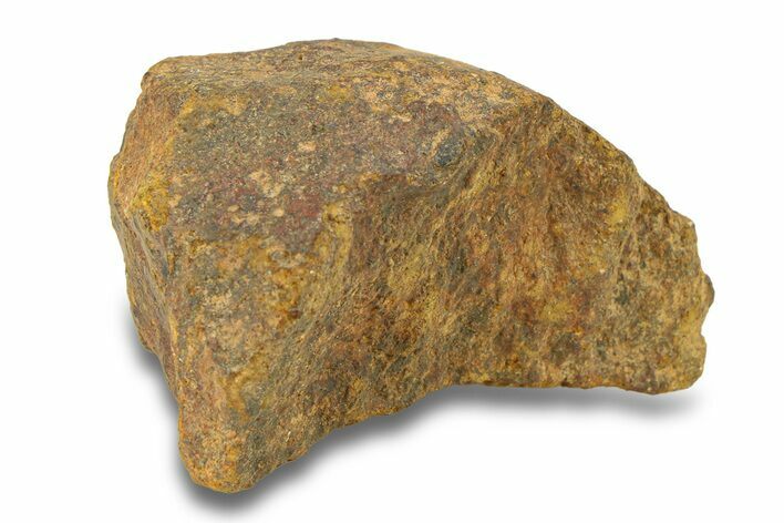 Gold Basin Chondrite Meteorite ( g) - Arizona #282768